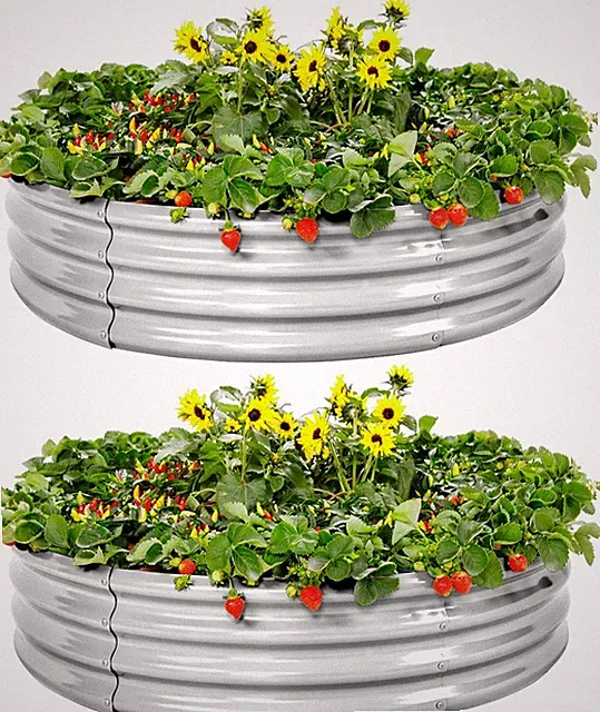Galvanized Round Raised Garden Bed Set - 2 Pcs for Vegetables & Flowers